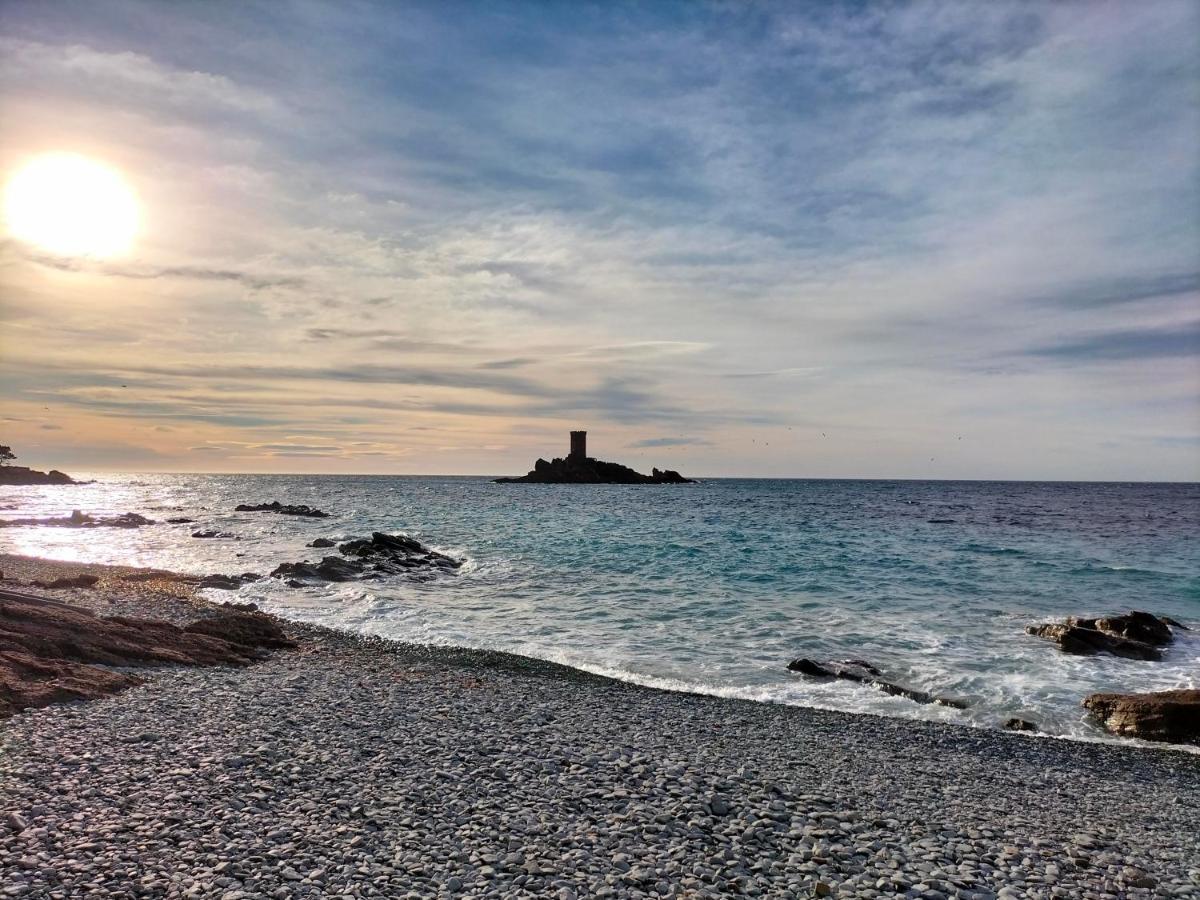 Superbe Appartement Avec Vue Mer Et Piscine Saint-Raphaël Εξωτερικό φωτογραφία